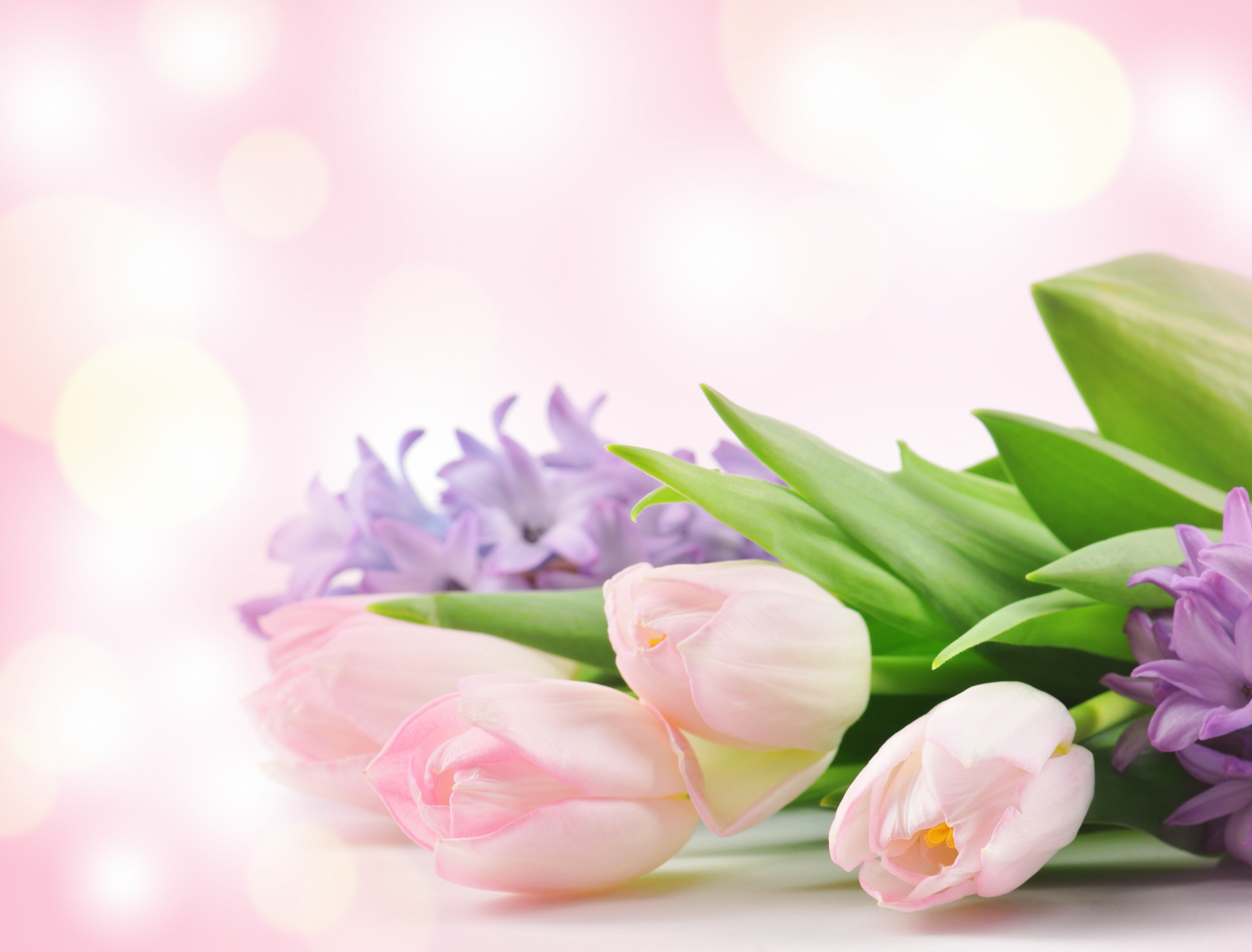 beautiful flowers
